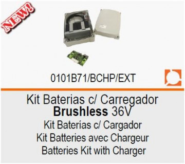 Roger Kit Batteries w/Brushless 36V B71/Bchp/Ext
