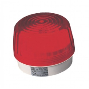 SOFLIGHT - OL-BS-576 - Sirena Incandescente