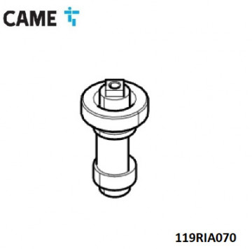119RIA070 - 8050456028600 - ENTRIEGELUNGSWELLE - FROG-J