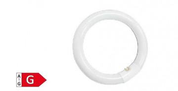 200800009 - 843373064836 Circular T9 Trifosphorus Fluorescent 32W G10Q 6400K