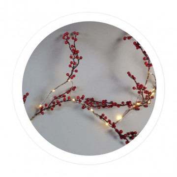 204690029 - 8433373074309Guirlanda LED de frutas rojo con luz cálido de 1,8M