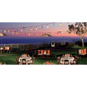 CARNIVAL-ROLL - CABLE CARNAVAL 220Vac CON 300 BOQUILLAS E27, CABLE NEGRO PLANO 1.5MM2, 100MT
