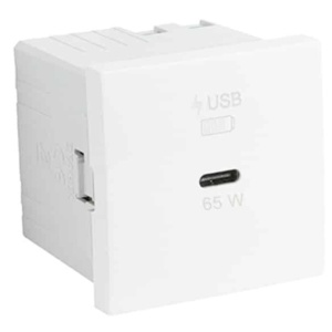 EFAPEL - 45396SBR CARREG USB TIPO C POWER DELIVERY 65W-2MÓD BR - 5603011650117