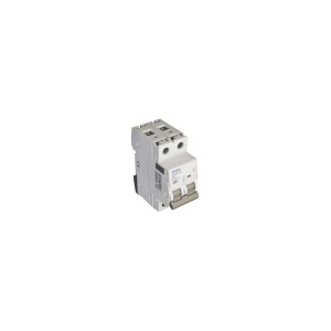 EFAPEL - 555402it Switch - 2P - 250/415V ~ - 40A - 5603011548315