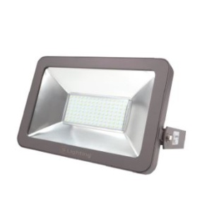 ESL04100WH - 100101200001 - Proj.led Outpoint Start 100W 6400K IP65