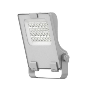 ESL0750CCTPA-100101200105 Projecteur LED à prémium 20W-30W-40W-50W 2CCT IP66