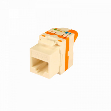 Kupferpaaranschluss RJ45 UTP Cat 6a weiblich. Einfache Drehbaugruppe, Plastikbox