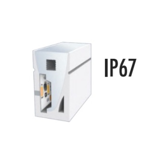 Néon LED L 19.2W 24V RVB + 6500K IP67
