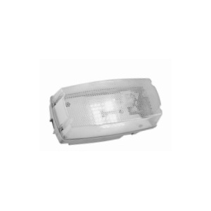 OX EYE WEISSE OVAL LED EVO 5W IP44