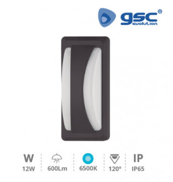 200205046 - 8433373049697 ANPIQUE LED 11W 6500K IP65 Grey antracite