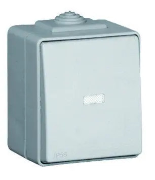 48162 CCZ BOTÃO BASCULANTE LUMINOSO DE 12V CINZENTO 5603011040048