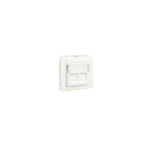 EFAPEL - 50442SPM ARO avec module double pour les connecteurs RJ45 PT MATE - 5603011628246