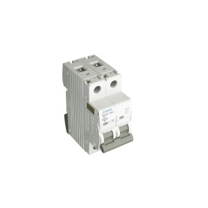 EFAPEL - 551632DU MT LEISTUNGSSCHALTER - 2P - 10KA - D - 63A - 5603011061142