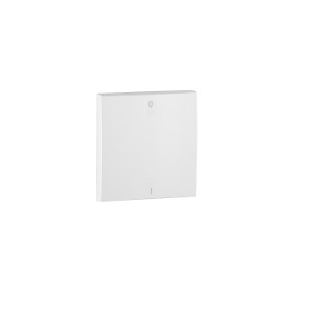 EFAPEL - 90608TMF TECLA PARA INTERRUPTOR BIPOLAR MARFIM - 5603011069124