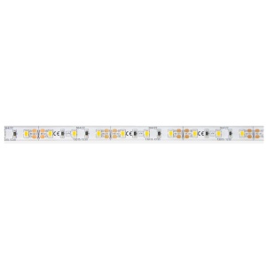 Europa 65 13015.1260-geführtes Band 2835-60 24-26LM/LED 12W/MT 6000K 1165LM 12VDC IP65 5MT
