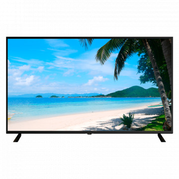 LED -Monitor 55 " - entwickelt für Videoüberwachung - 4K UHD -Auflösung (3840x2160) | Format 16: 9 - 3x HDMI | 1XUSB - 1XAUDIO OCT act | Integrierte Hochlautsprecher - interner Speicher bis zu 8 GB