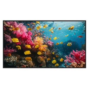 Monitor digital signage 43" 4K - Sinalética digital local USB - Sinalética digital FocSign (opcional) - Funcionamento 24/7 - Suporte de parede incluído - Android 13