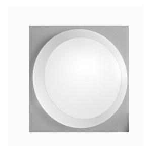 PLAFOND OPAL BRANCO ALYCE 1x E27 Ø300x91mm IK10 IP65