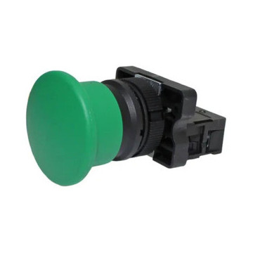 SOFLIGHT - SL -CPB02 -BC31 - CUSTOMS button. Met. No 39mm Green Flooding 1no