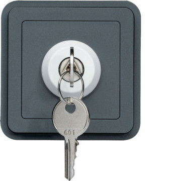 WNA035 - Cubyko - Unterbrechung. Schlüssel mit 2 POS, Hager Ean Gray: 3250617174350