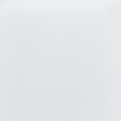 WXA601 - Galerie 2M Blank Hager Ean Etiquette: 3250617191135