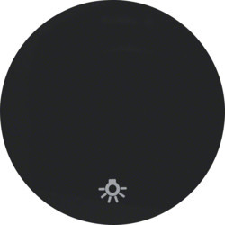 16202035 - R.1/R.3 - llave simple Simb.lámpara, negro HAGER Ean:4011334366348