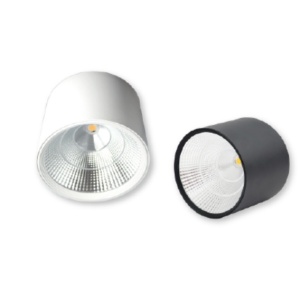 ESL4018CW-PT - 100113100022 - RUNDER LED-DECKENBLICK 12W 4000K IP44 SCHWARZ