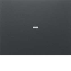 80960275 - Cubrir p/ BP Knx K.x 1 llave c/ BCU, Antr HAGER Ean:3250617152778