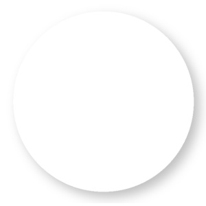 ESL9301 -BR - 100101000161 - TRIMLESS ENCLUSTION PROFILE 62X14mm