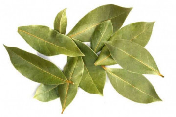 Feuilles de baie (7 g)