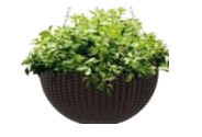 KETER 223694 POTE PENDURADO