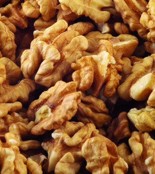 Noyau en noyer des montes (40gr)