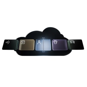Subscrição mensal do Ajax Cloud Storage - Plano Standard 30 Dias - 1 Dispositivo - 30 dias de armazenamento de vídeo (1500 min) - Resolução 2K - 3 Fotografias GIF por notificação - Compatível com as câmaras Ajax IndoorCam e DoorBell