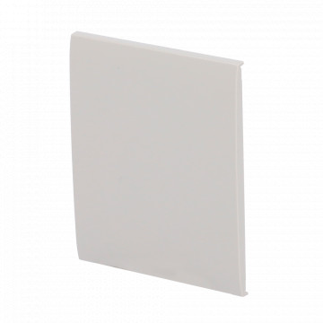 Tactile Panel for Simple Light Switch - AJ -LightCore -1G / -2W - LED Retailing - Contact Touch Central Panel - Ostra Color - Ajax - Lightswitch Centerbutton