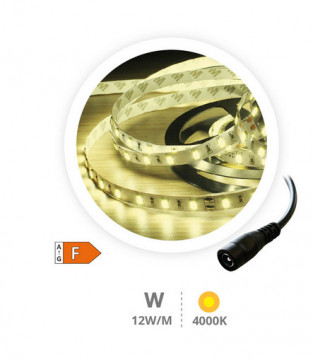 204030011 - 8433373064249 LED tape 5m 12W/M 4000-4500K 24V