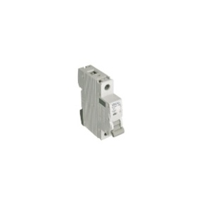 55102 1ds circuit breaker MT - 1p - 6ka - D - 2a 5603011550554