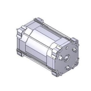 88001-0139 - - GRUPPO MOTORE+FERNO SERIE 230V SLOW
