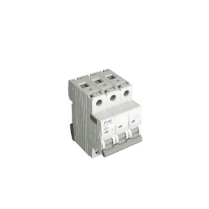 EFAPEL - 551063DU MT BRANE - 3P - 10K - D - 6A - 5603011061159