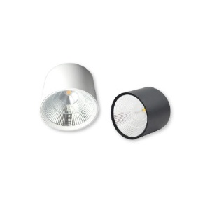 ESL4018WW -PT - 100113100024 - Applique du plafond Round LED 12W 2700K IP44 Black