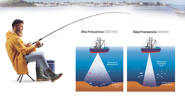 Conoce el uso y las frecuencias más usuales del traductor de pesca recreativa