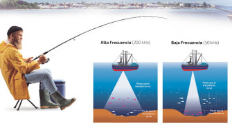 Conoce el uso y las frecuencias más usuales del traductor de pesca recreativa