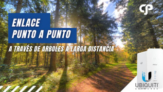 Enlace Punto a Punto a través de árboles a larga distancia