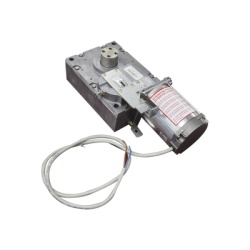 CAME 119-RIG198 Refaccion / Motorreductor para barreras GARD4