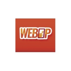 MCDI SECURITY PRODUCTS INC WEBOP-CH1 Licencia Modulo acceso Web local o remota para operadores del Software de Monitoreo Securithor v 2.0