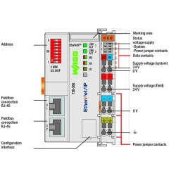 WAGO 750-366: acoplador de bus de campo EtherNet/IP, 4.ª generación, con DLR, 2 puertos RJ-45 - Img 3