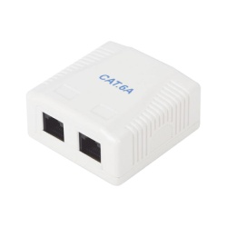 LINKEDPRO BY EPCOM LP-WP-39-C6A Caja de Pared con 2 Puertos Incluye 2 Jacks UTP Cat6A