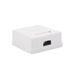 LINKEDPRO BY EPCOM LP-WP-09 Caja de Pared con Jack UTP Cat5e y Jack RJ11 Telefonico
