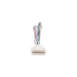 HIKVISION 101511121 Arnes principal para Doorbell Serie DS-KV6113WPE1(C) / Compatible con versiones A B y C