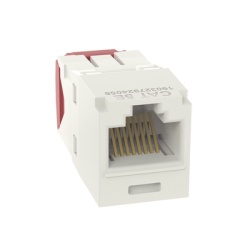 PANDUIT CJ5E88TGIW Conector Jack RJ45 Estilo TG Mini-Com Categoria 5e de 8 Posiciones y 8 Cables Color Blanco Mate