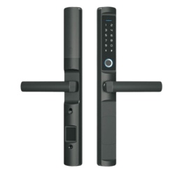 AKUBELA F2ZSL Cerradura inteligente inalambrica ZigBee. IP65 compatible con pantallas Akubela